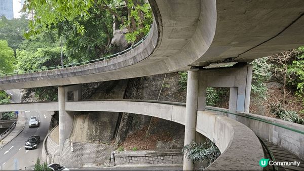 中環半山樹場同埋 天橋底 充滿3d 氣息非常之適合打卡 景色...