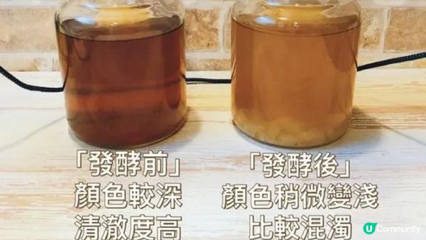 【附教學】自製💃🏻天后級益生菌