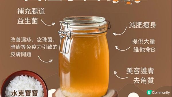 【附教學】自製💃🏻天后級益生菌