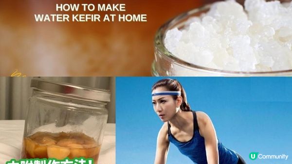 【附教學】自製💃🏻天后級益生菌