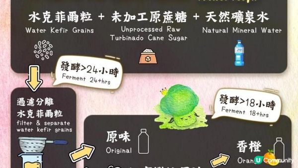 【附教學】自製💃🏻天后級益生菌