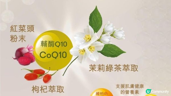 ♡Young Living全球首創！市面上唯一加入精油嘅膠原飲｜BLOOM膠原亮膚飲♡