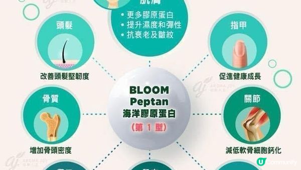 ♡Young Living全球首創！市面上唯一加入精油嘅膠原飲｜BLOOM膠原亮膚飲♡