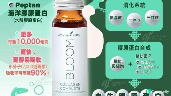 ♡Young Living全球首創！市面上唯一加入精油嘅膠原飲｜BLOOM膠原亮膚飲♡