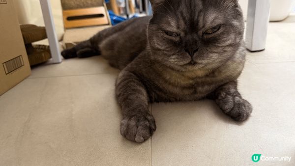 點解成日都咁眼訓