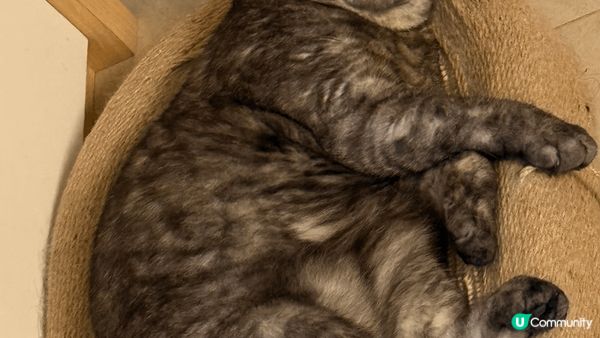 點解成日都咁眼訓