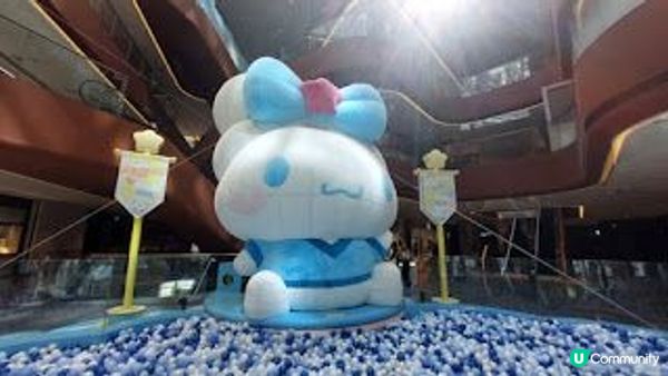 玉桂狗和五月天