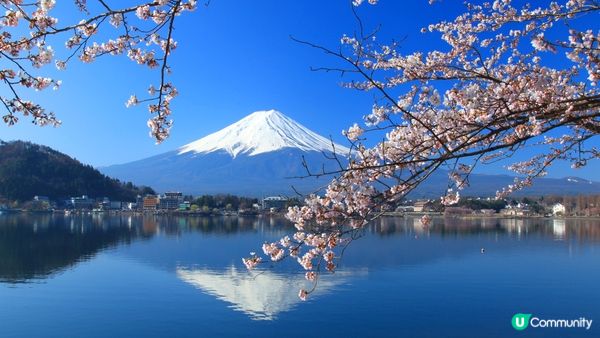 靚到完全唔需要filter！#打造韓系浪漫廚房