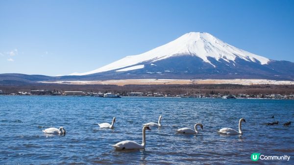 #打造韓系浪漫廚房 #淨白透亮520 #韓式髮型神器