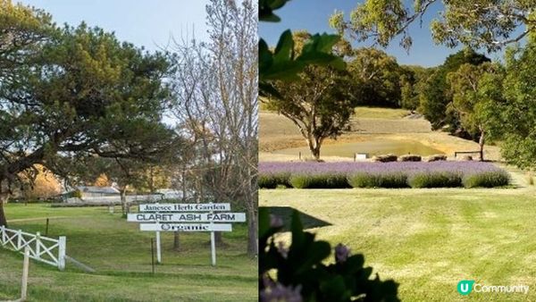 自然滋養肌膚之美 澳洲有機護膚Janesce純淨哲學