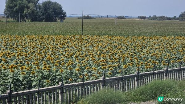 【中國自由行】文字記錄一日5程火車穿越內蒙古到西安：無座硬座二等座，一場從草原走進漢地的鐵路修煉｜Hohhot to Xi'an - Train Survival Journey 🚄🔥