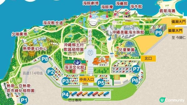 “美麗海水族館”沖繩必去景點🐠🪼🪸