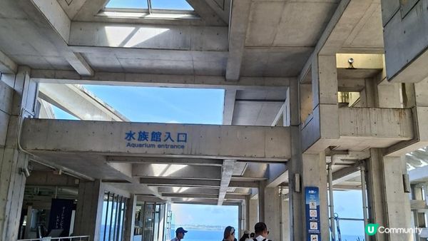“美麗海水族館”沖繩必去景點🐠🪼🪸