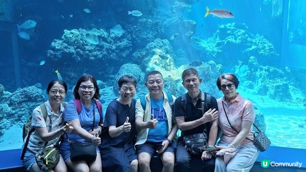 “美麗海水族館”沖繩必去景點🐠🪼🪸