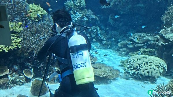 “美麗海水族館”沖繩必去景點🐠🪼🪸