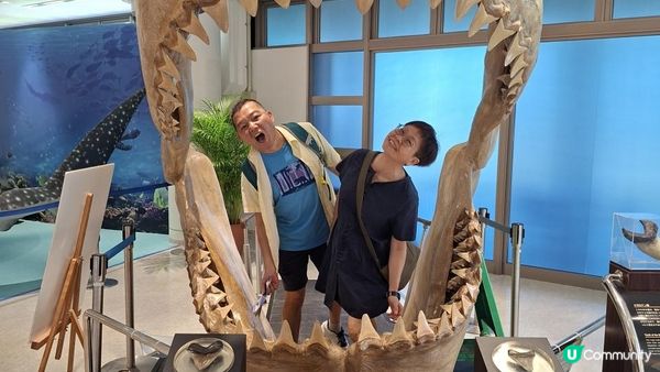 “美麗海水族館”沖繩必去景點🐠🪼🪸