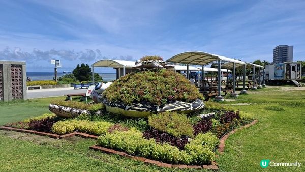 “美麗海水族館”沖繩必去景點🐠🪼🪸