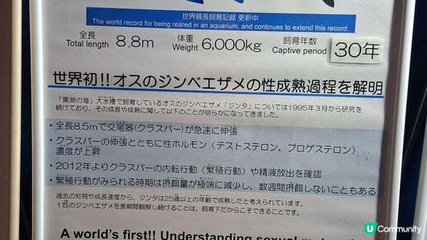“美麗海水族館”沖繩必去景點🐠🪼🪸