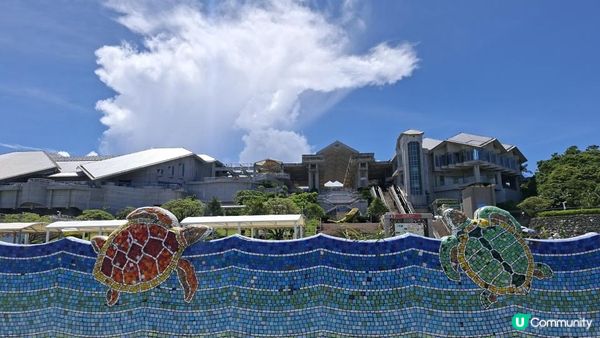 “美麗海水族館”沖繩必去景點🐠🪼🪸
