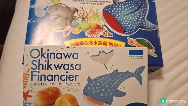 “美麗海水族館”沖繩必去景點🐠🪼🪸