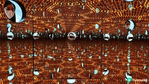 The Broad Museum真係正💥！個蜂巢外牆已經夠晒...