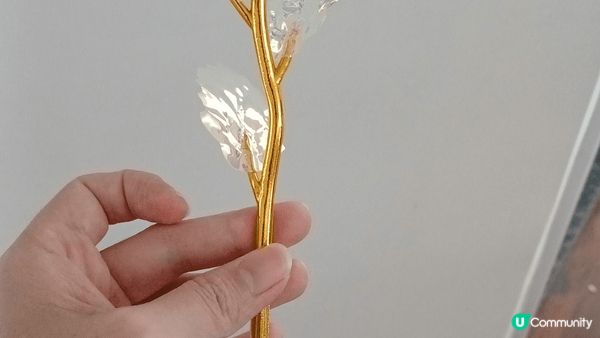 母親節要買一束康乃馨比媽咪對我黎講就有負擔，一黎貴，二黎我阿...