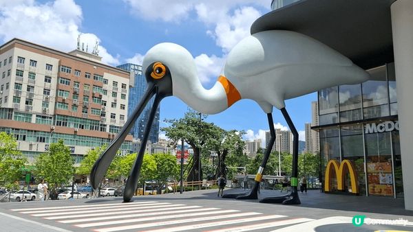 坂田萬科廣場，大到可以行足全日，店舖、食肆等，樣樣齊全，仲有...