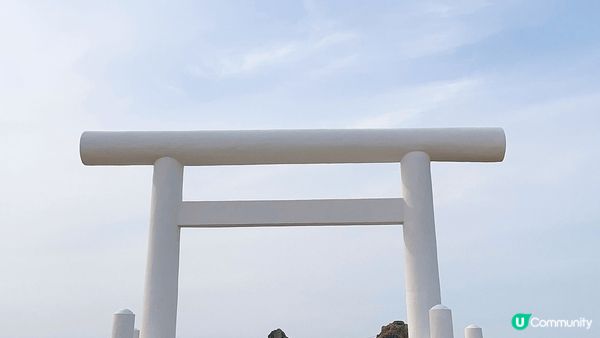 福岡中山大藤的紫藤花🥰🥰🥰🥰🥰