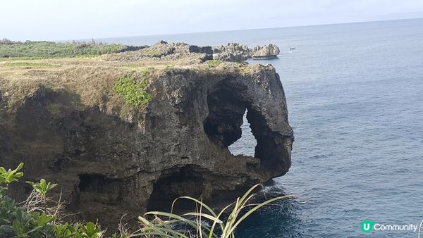 去了沖繩之行，有去水族館，睇了海洋生物，另外有去睇日本藝妓表...