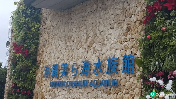 去了沖繩之行，有去水族館，睇了海洋生物，另外有去睇日本藝妓表...