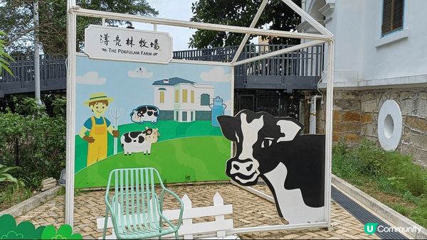 跟本地旅行團去咗薄扶林牧場，再去香港醫學博物館， 同埋石澳沙...