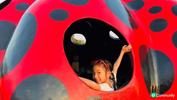 存在喺佢小小記憶裡面嘅南瓜。