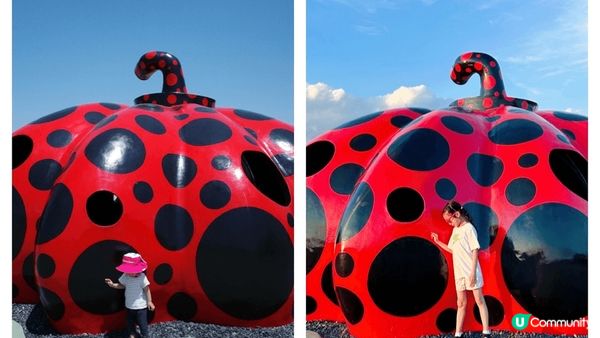 存在喺佢小小記憶裡面嘅南瓜。