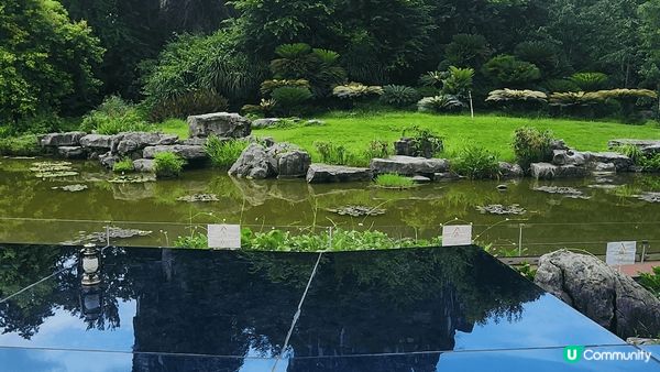 桂林山水甲天下，蘺江景色冠一絕，龍脊梯田入眼簾，優嫻旅程輕鬆...