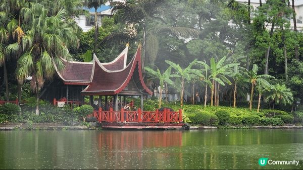 桂林山水甲天下，蘺江景色冠一絕，龍脊梯田入眼簾，優嫻旅程輕鬆...