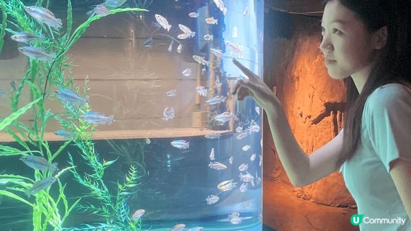 第一次和朋友去旅行，去了韓國，去了著名景點景福宮、南山塔、水...