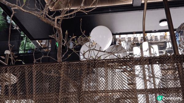 去左深圳一間融合菜，三人去食都係三百港纸左右，超好食，環境又...