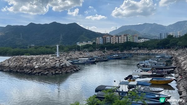 美景盡收眼底！