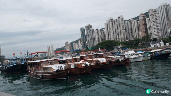 我和家人常到鴨脷洲海濱長廊去散步，沿途可欣賞避風塘景色，還可...