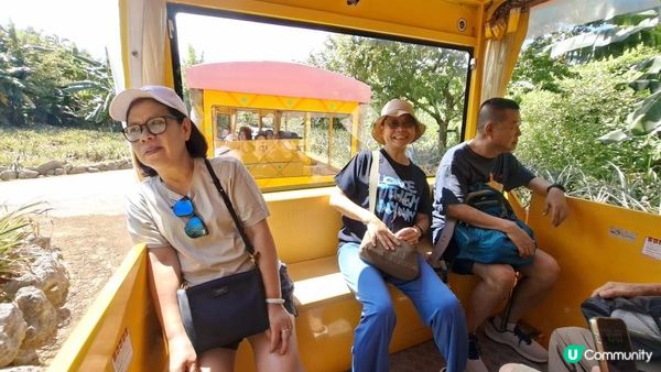 【沖繩名護市】得意好玩又有食的鳳梨園🍍😋