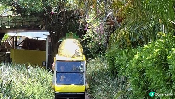 【沖繩名護市】得意好玩又有食的鳳梨園🍍😋