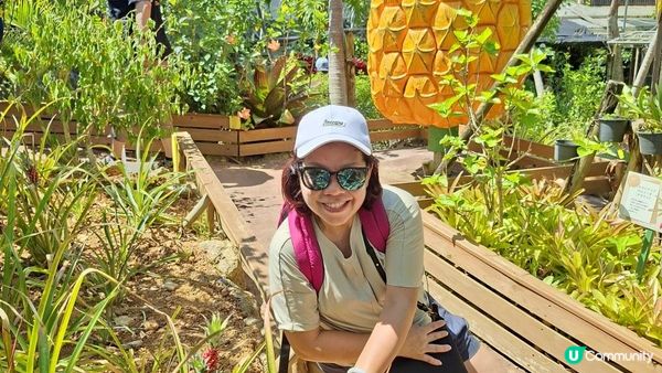 【沖繩名護市】得意好玩又有食的鳳梨園🍍😋