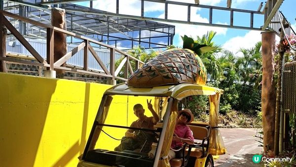 【沖繩名護市】得意好玩又有食的鳳梨園🍍😋