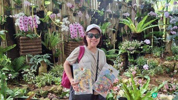 【沖繩名護市】得意好玩又有食的鳳梨園🍍😋