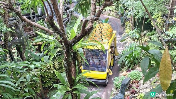 【沖繩名護市】得意好玩又有食的鳳梨園🍍😋
