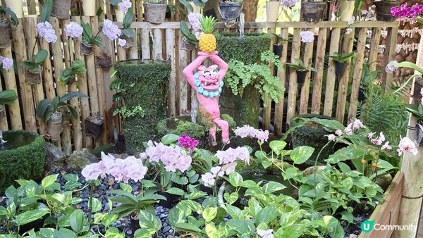 【沖繩名護市】得意好玩又有食的鳳梨園🍍😋