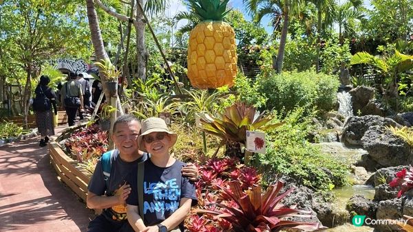 【沖繩名護市】得意好玩又有食的鳳梨園🍍😋