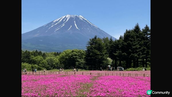 日本富士山，一生總要去睇一次，如痴如醉嘅畫面。