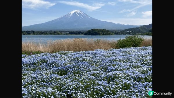 日本富士山，一生總要去睇一次，如痴如醉嘅畫面。