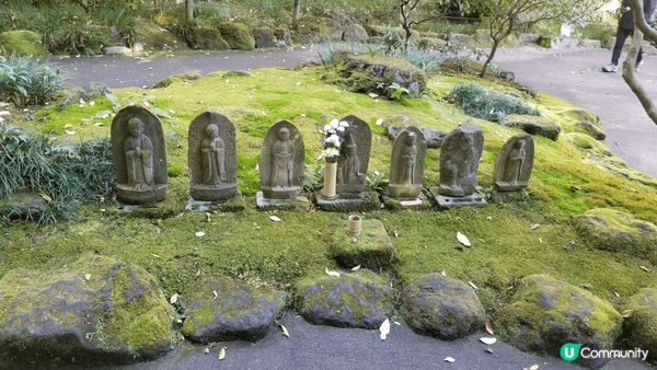 雖然只是綠色植物，但完全反映了日本美景的味道，令人一拍再拍。...